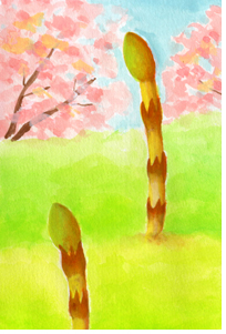 つくしイラスト